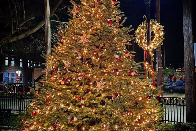 image 373 Festival 2025