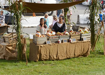 image 375 Festival 2025