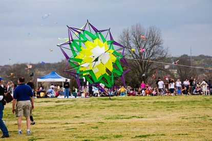 image 384 Festival 2025