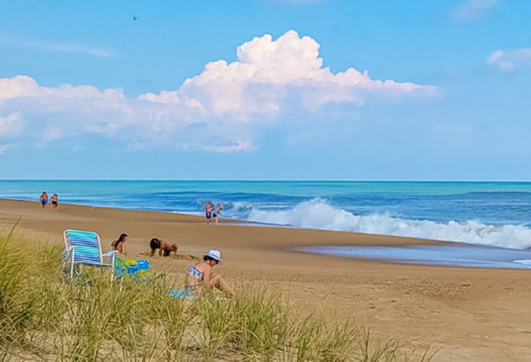 image 387 Festival 2025