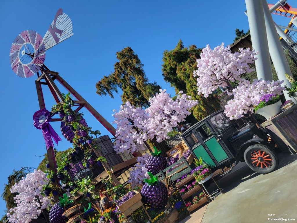 image 388 Festival 2025