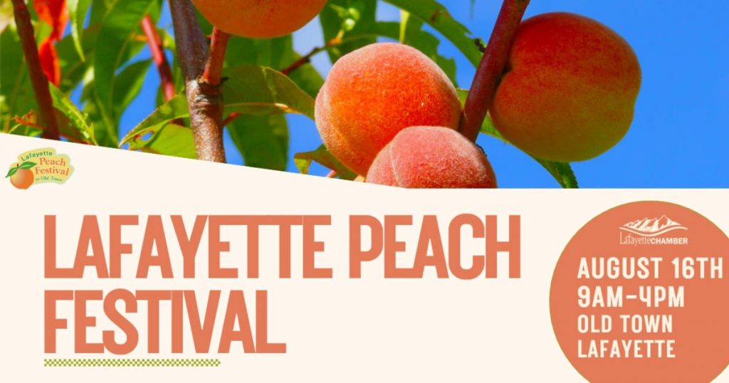 image 394 Festival 2025