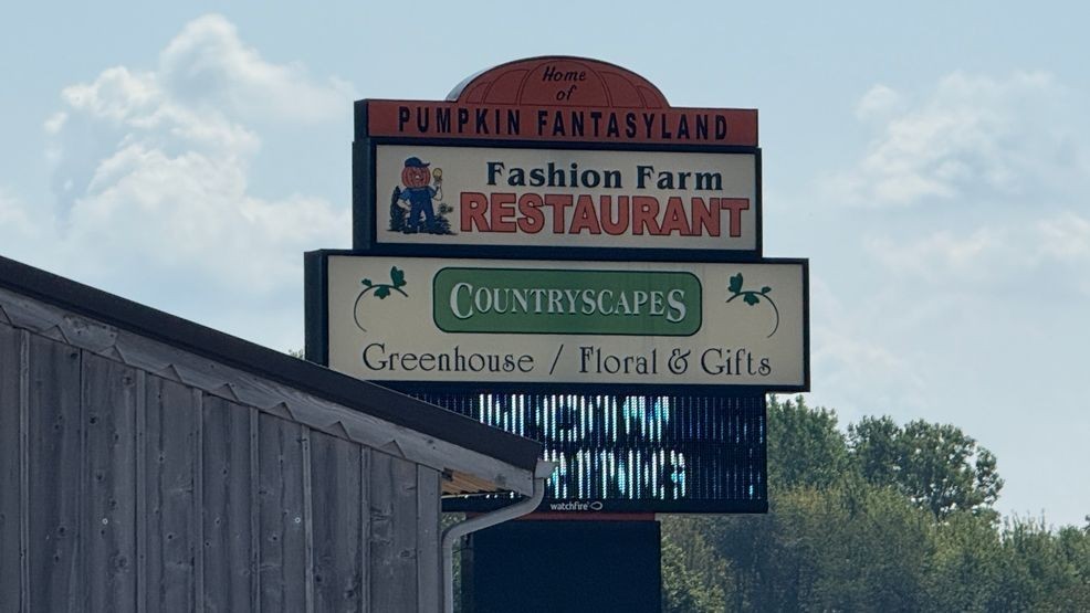 image 425 Festival 2025