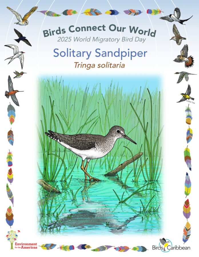 image 433 Festival 2025