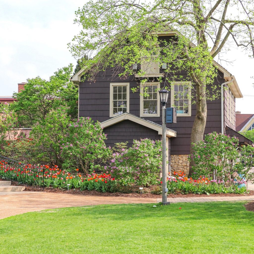 image 434 Festival 2025