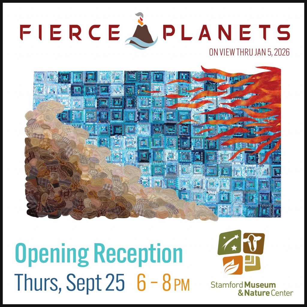 image 44 Festival 2025