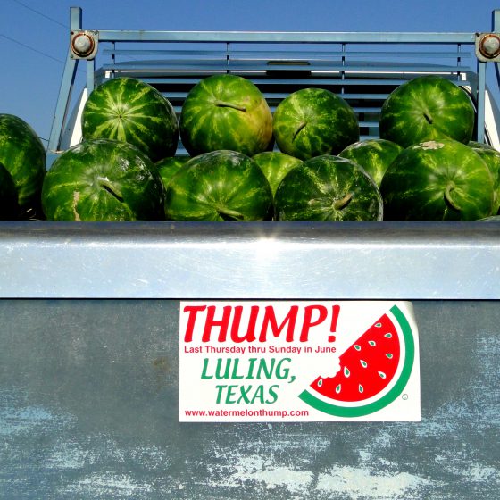 image 444 Festival 2025