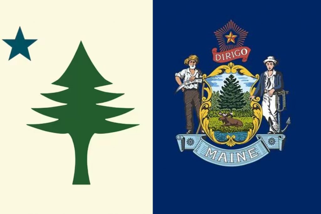 image 456 Festival 2025