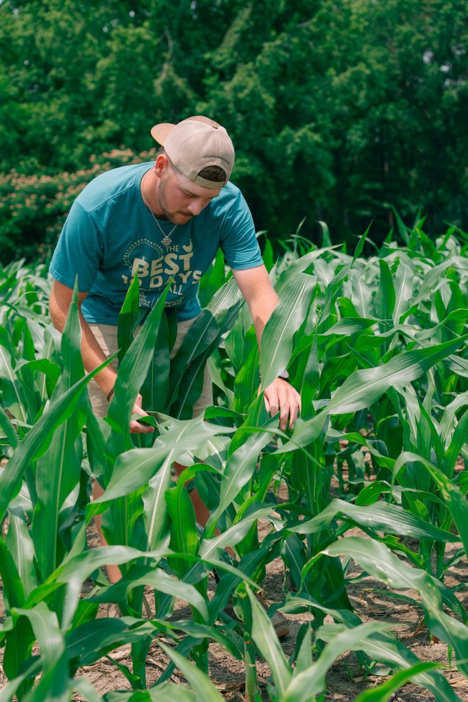 image 459 Festival 2025