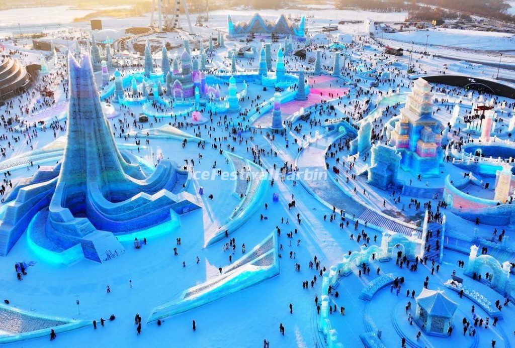 image 504 Festival 2025