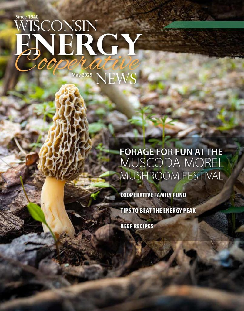 image 522 Festival 2025