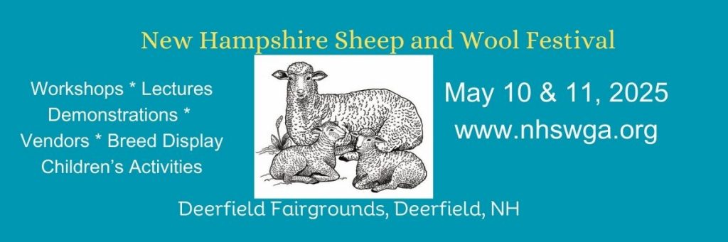 image 545 Festival 2025