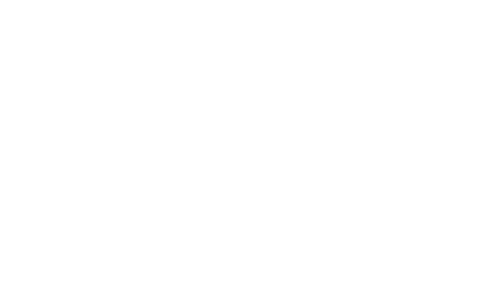 image 55 Festival 2025