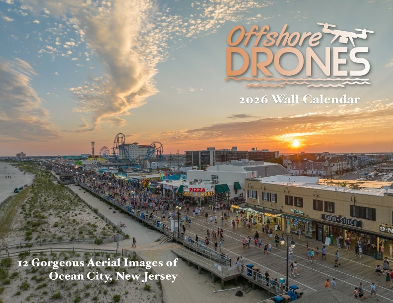 image 555 Festival 2025