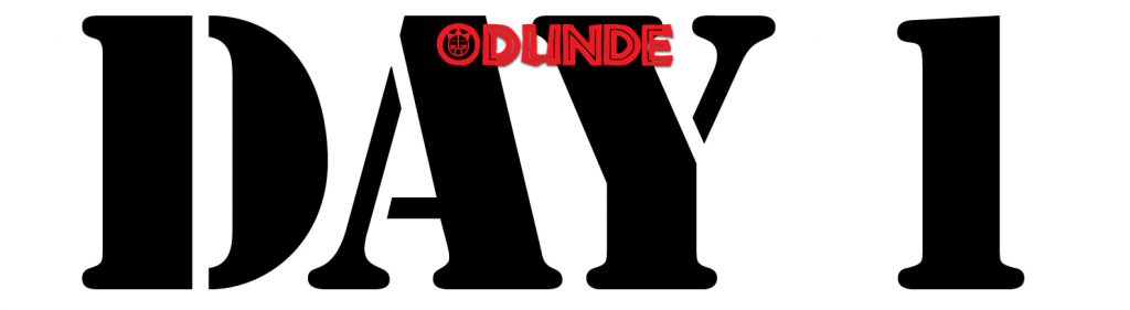 image 558 Festival 2025