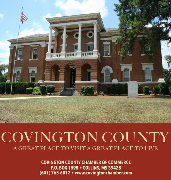 image 559 Festival 2025