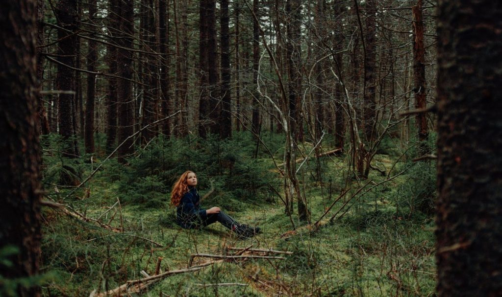 image 564 Festival 2025