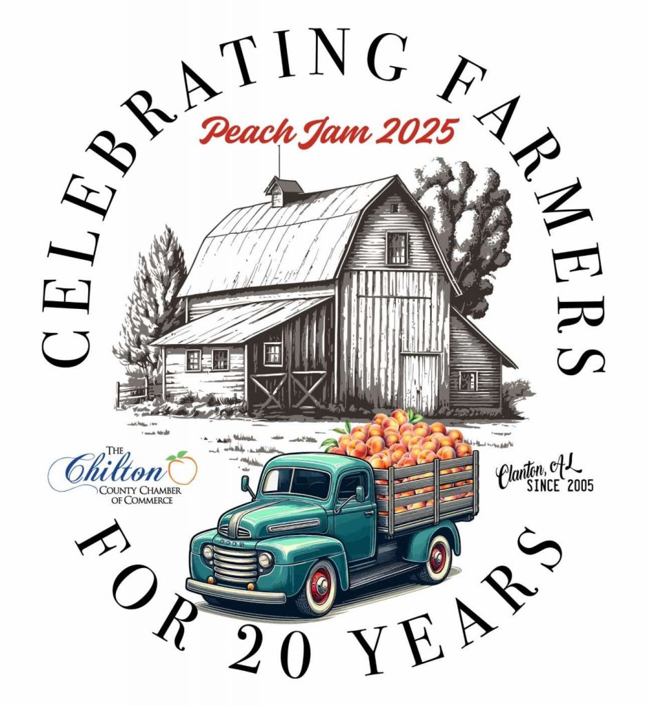 image 585 Festival 2025