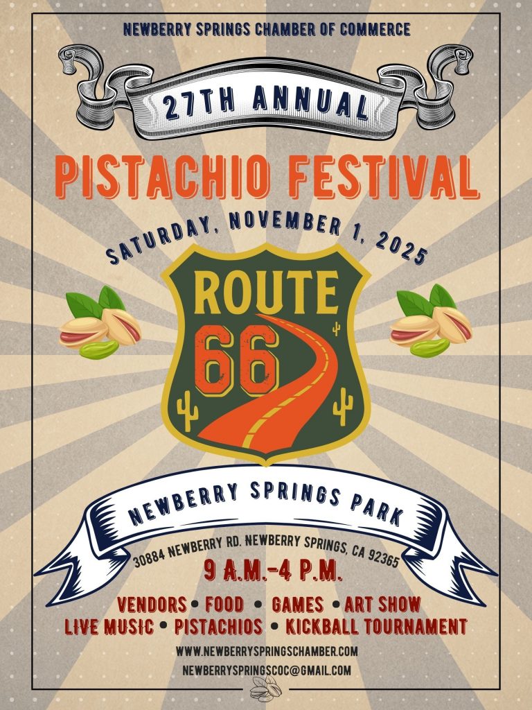 image 607 Festival 2025