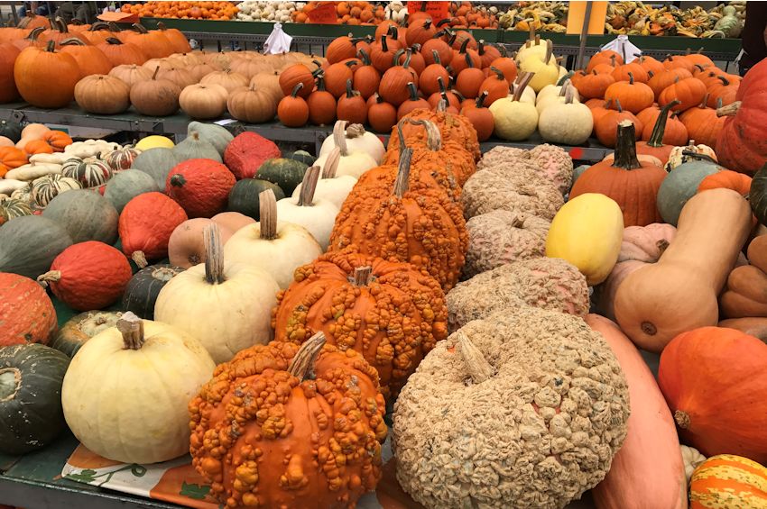 image 634 Festival 2025