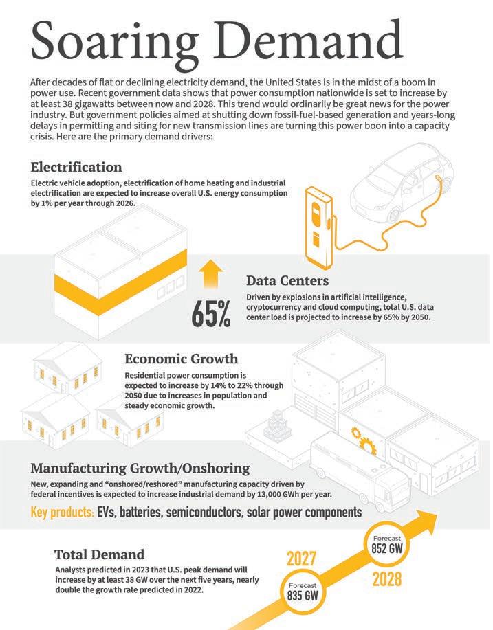image 672 Festival 2025