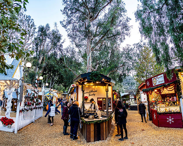 image 697 Festival 2025