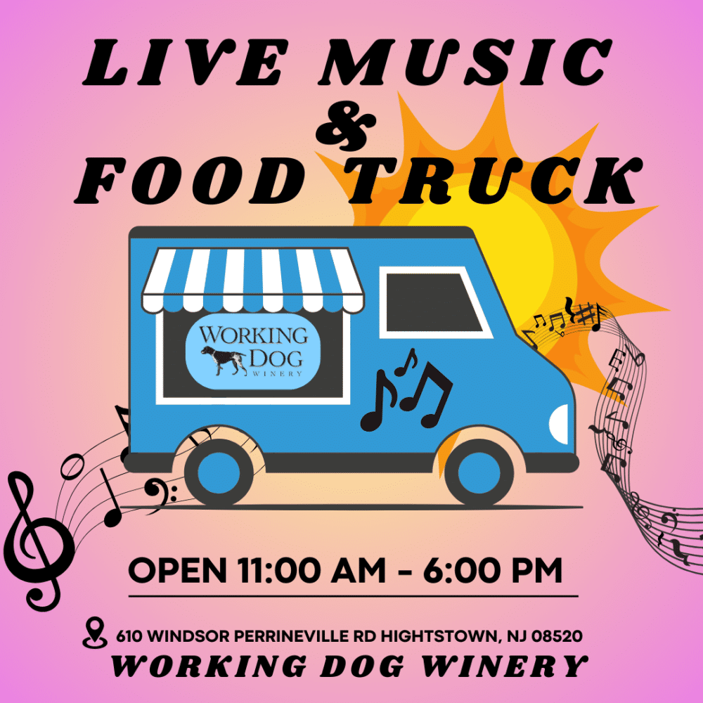 image 70 Festival 2025