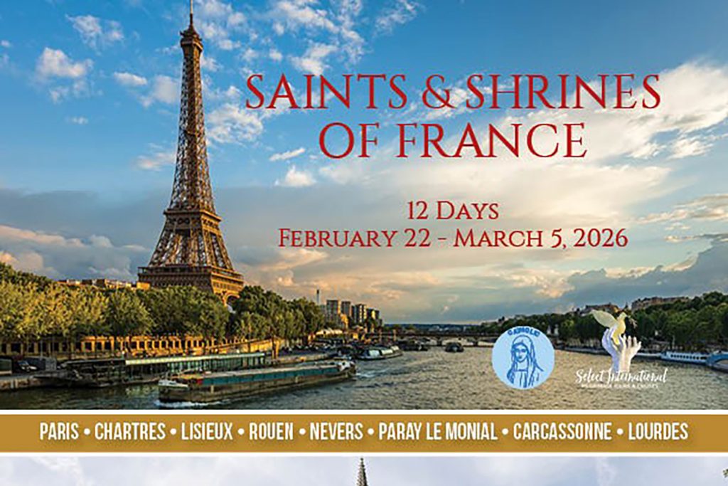 image 715 Festival 2025