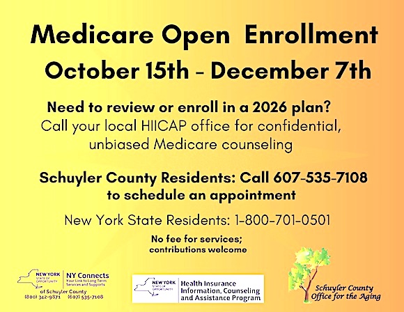 image 719 Festival 2025