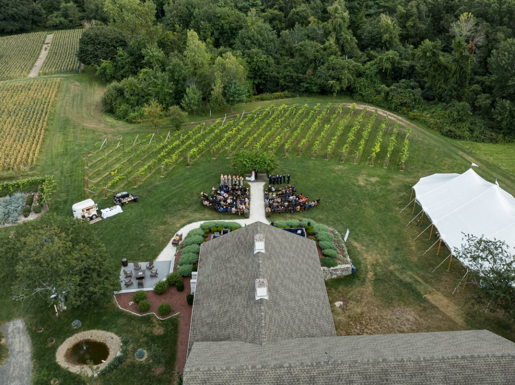 image 774 Festival 2025