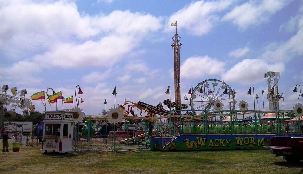 image 781 Festival 2025