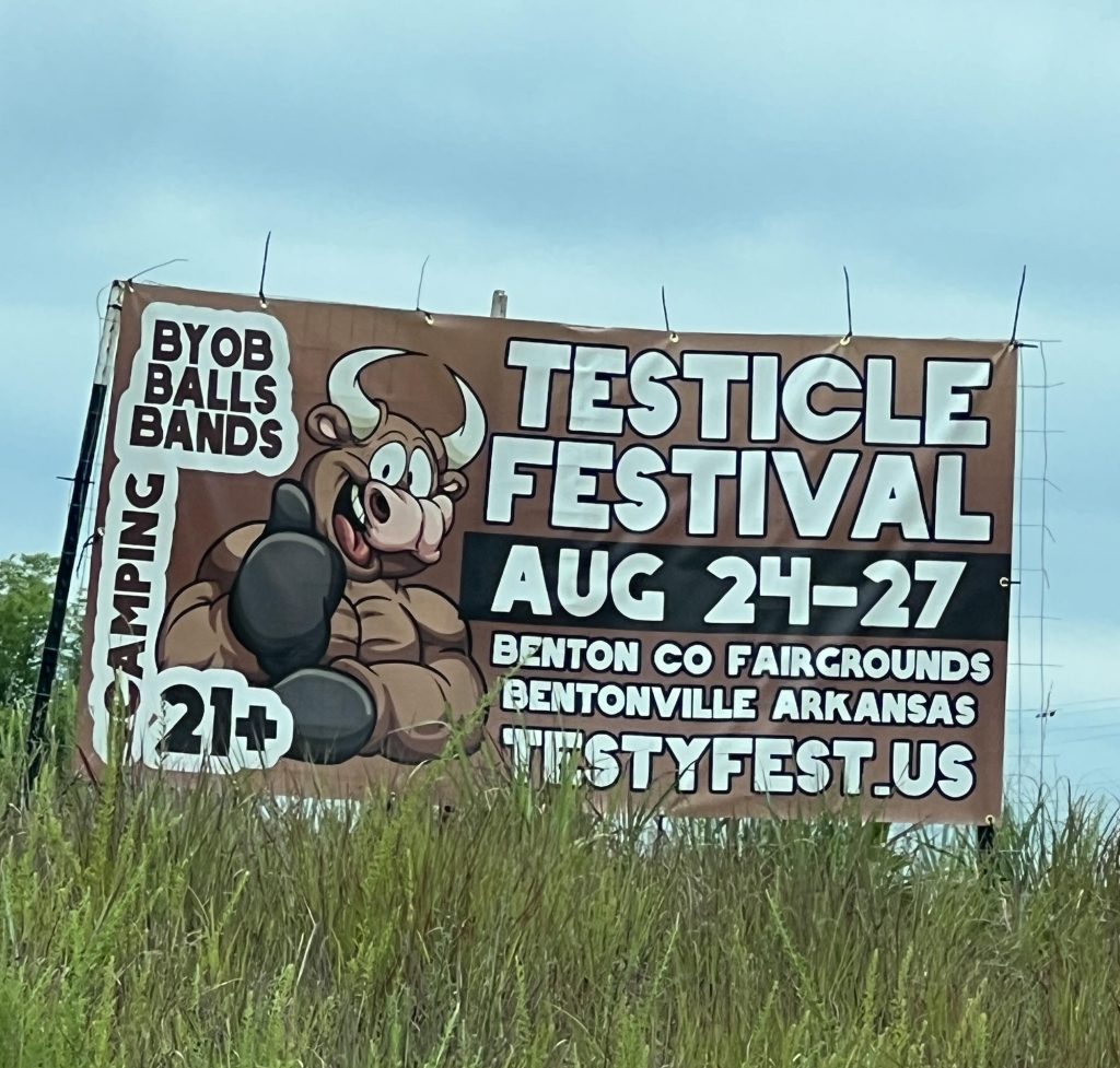 image 809 Festival 2025