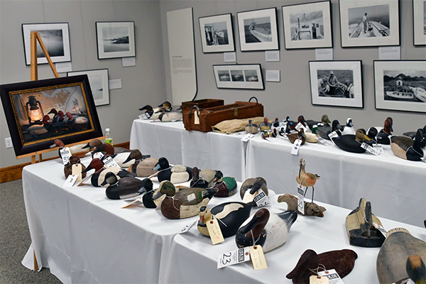 image 85 Festival 2025