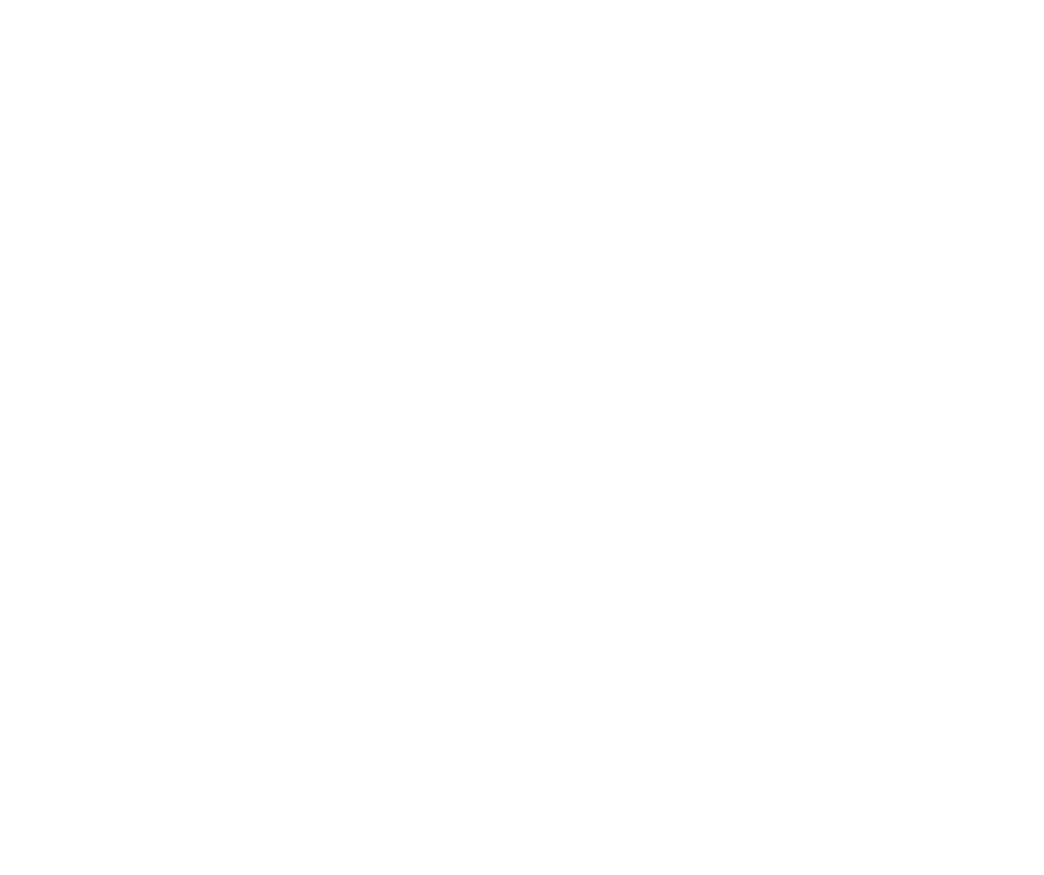 image 96 Festival 2025