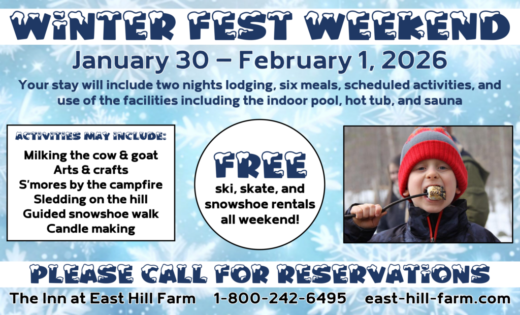 image 97 Festival 2025