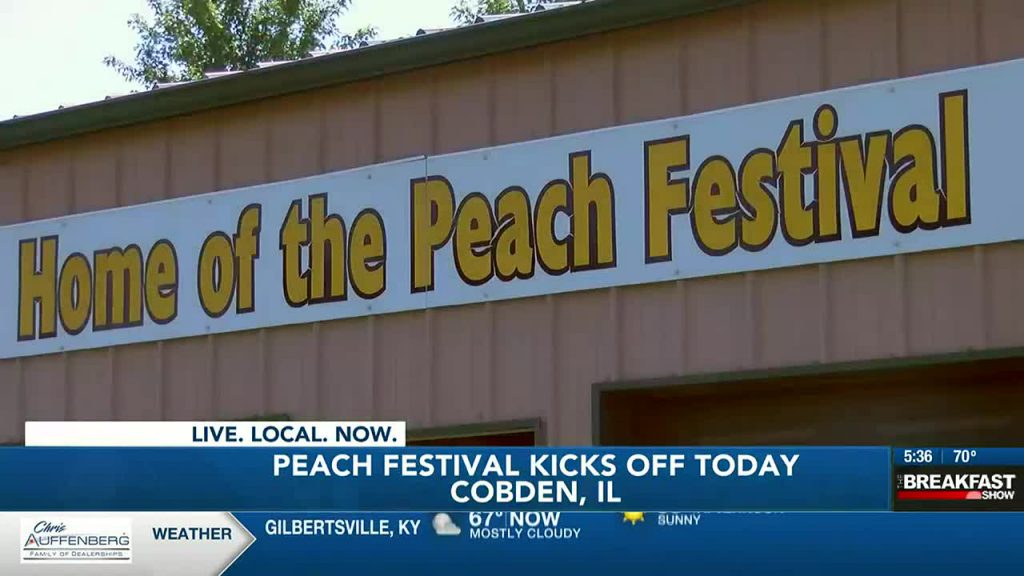 image 157 Festival 2025