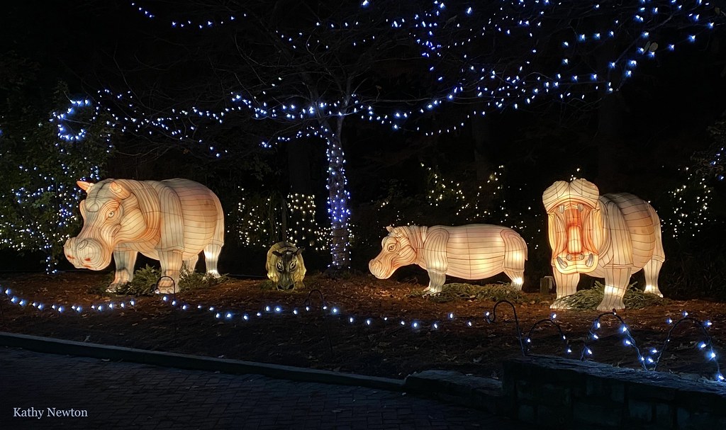 image 196 Festival 2025