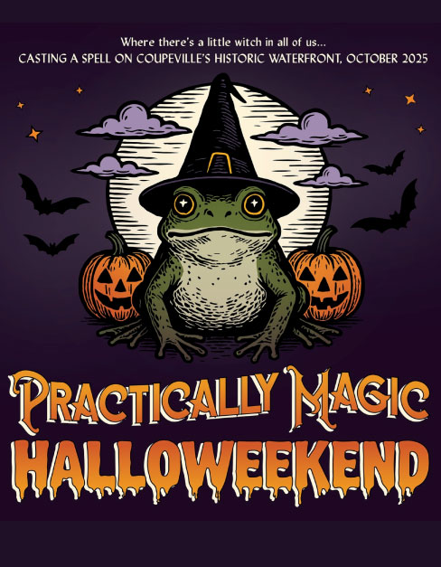 image 198 Festival 2025