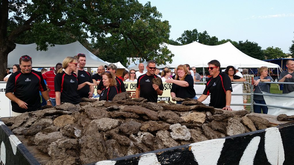 image 201 Festival 2025