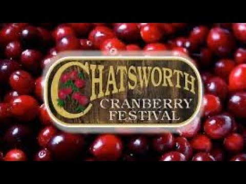 image 204 Festival 2025