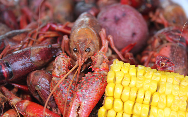 image 208 Festival 2025