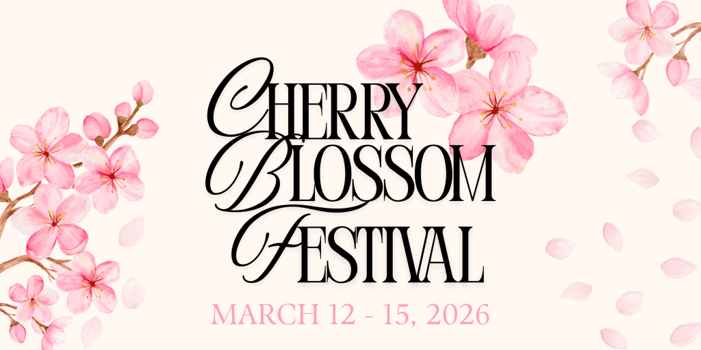 image 23 Festival 2025