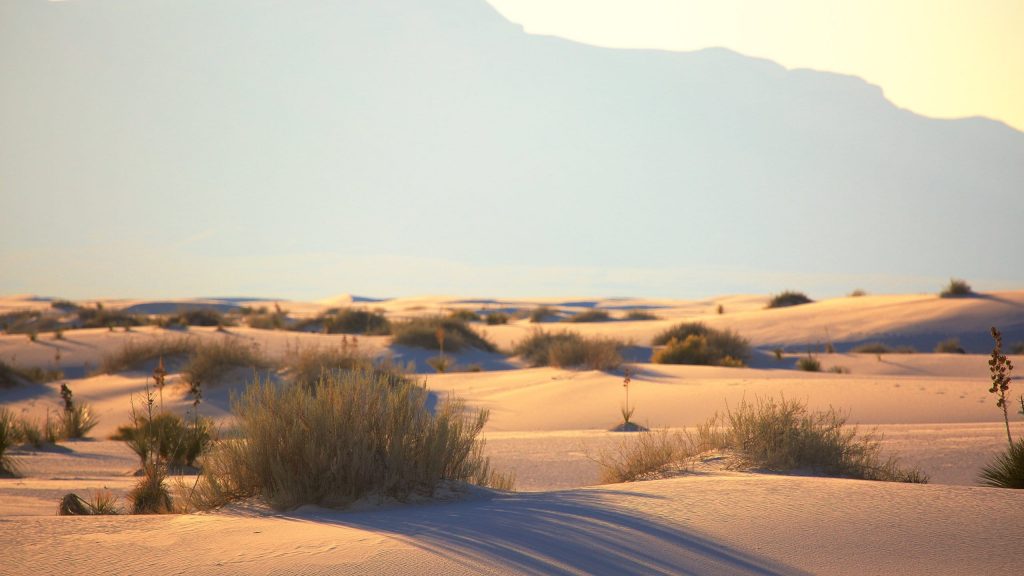 image 237 Festival 2025