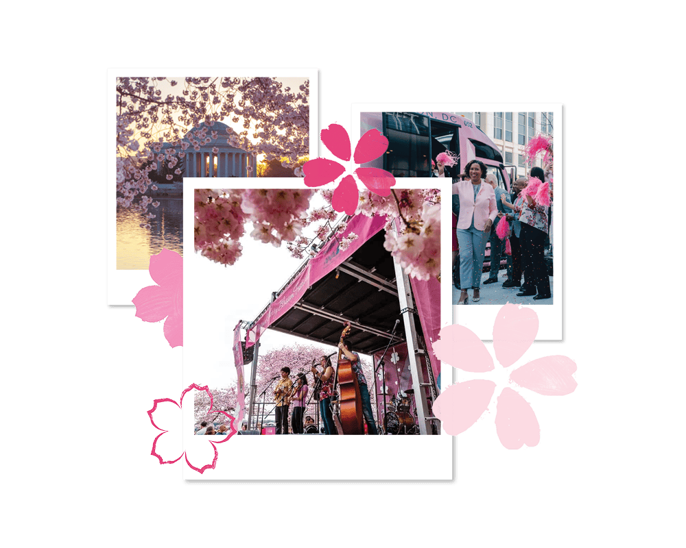 image 24 Festival 2025