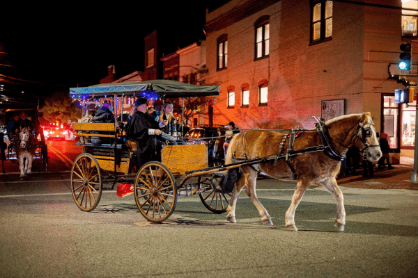 image 25 Festival 2025