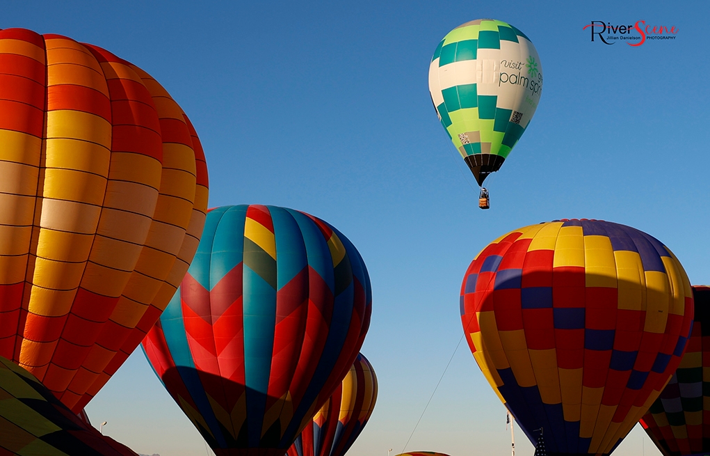 image 265 Festival 2025