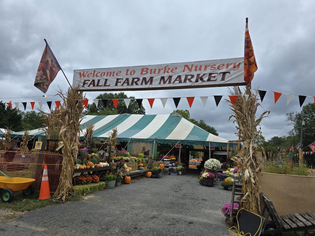 image 3 Festival 2025