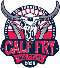 image 5 Festival 2025