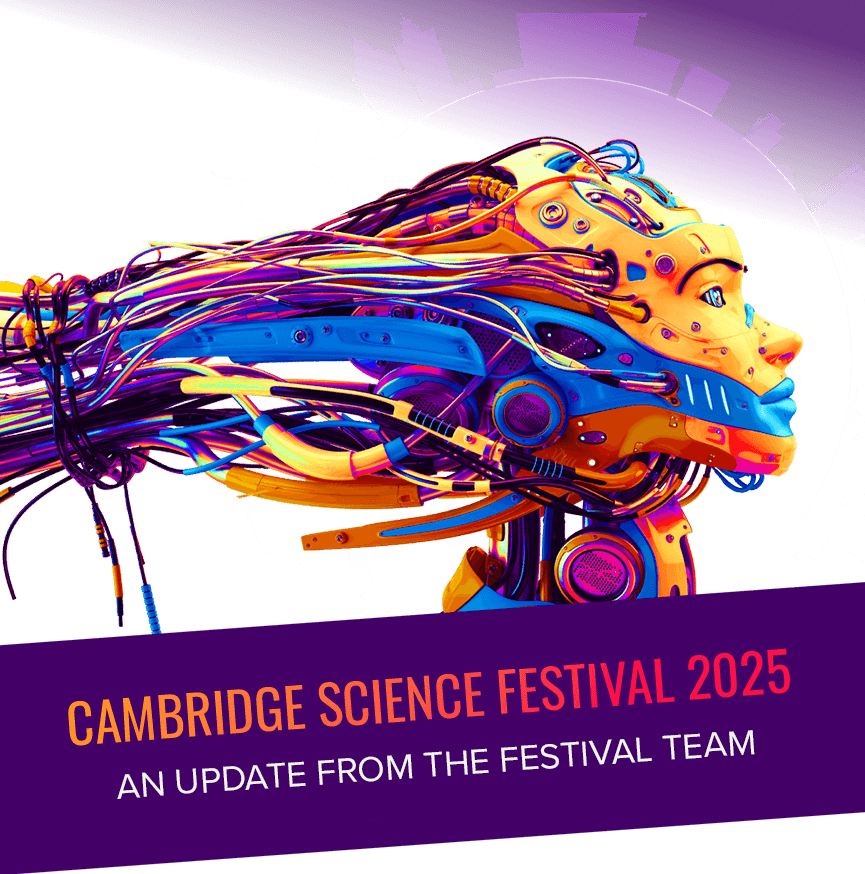 image 6 Festival 2025