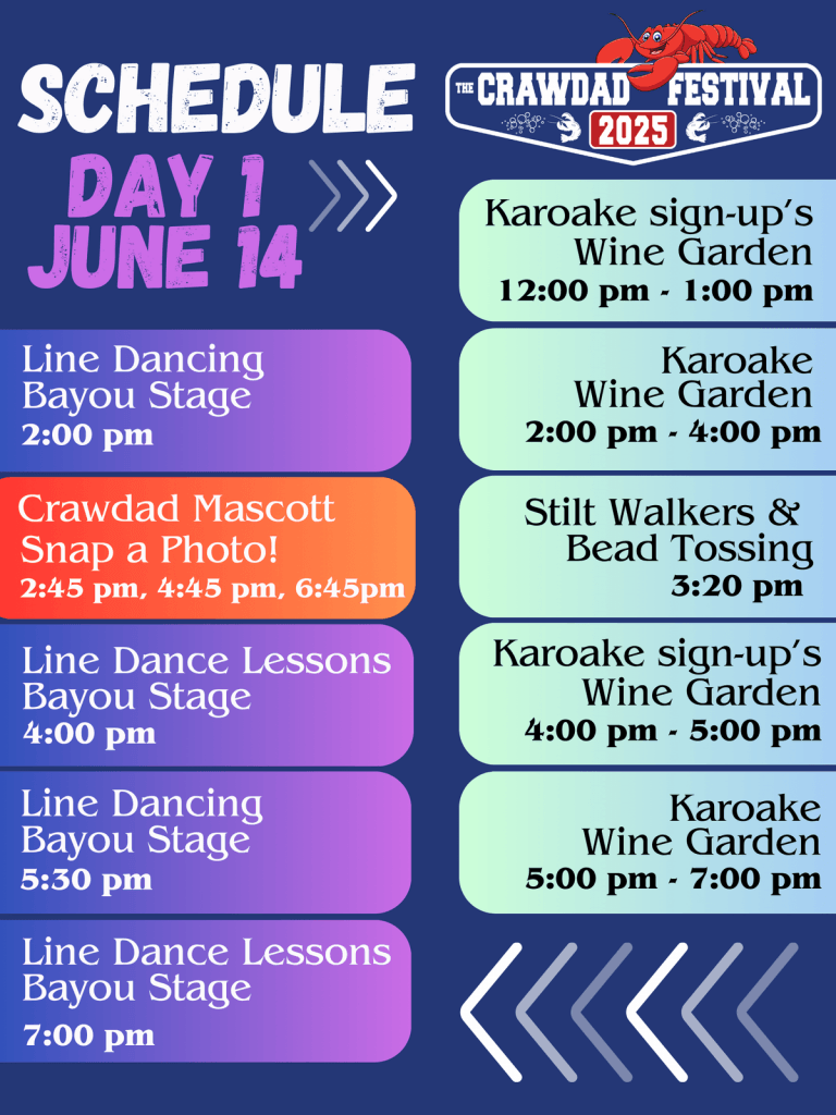 image 62 Festival 2025